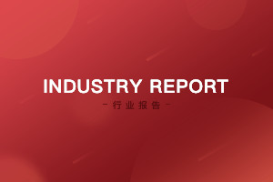 Industry Report:「The WeChat Luxury Index 2021」