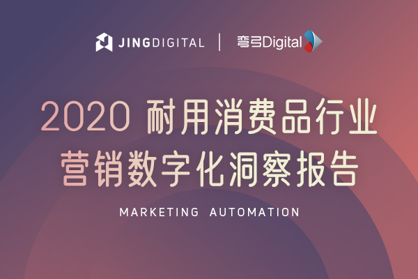 「2020 耐用消费品行业营销数字化洞察报告」发布！