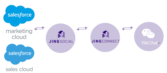 Salesforce和JING之间建立CRM数据连接